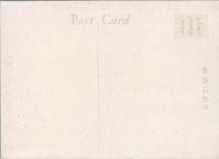 1000949■絵葉書■妙高、池の平温泉 一本松スキー場