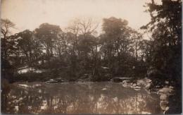 1000976■戦前 絵葉書■東京 戸越公園　写真版