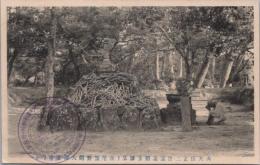 1000980■戦前 絵葉書■内大巨正二位源義朝公御墓　