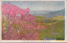 1000982■戦前 絵葉書■紀三井寺山上より和歌之浦を望む