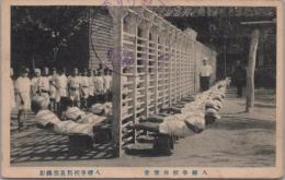 1000989■戦前 絵葉書■岐阜県　八幡学校　体育会 背筋 (背筋トレーニング)