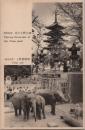 1001020■戦前 絵葉書■東京名所 花の上野公園 上野動物 写真版 (ぞう　象)