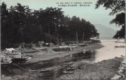 1001033■戦前 絵葉書■鹿児島名勝　翠松枝を交ふ祇園の洲 (舟　船)