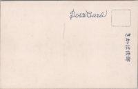 1001056■戦前 絵葉書■三尾風景 槇の尾橋