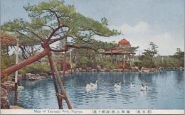 1001070■戦前 絵葉書■名古屋　鶴舞公園　（アヒル)