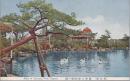 1001070■戦前 絵葉書■名古屋　鶴舞公園　（アヒル)