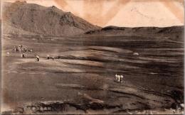 1001086■戦前 絵葉書■熊本 阿蘇山上砂千里 (女性 着物　日傘)