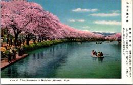 1001098■戦前 絵葉書■青森県　弘前公園の桜　