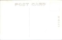 1001098■戦前 絵葉書■青森県　弘前公園の桜　