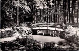 1001101■戦前 絵葉書■伊香保名勝　紅葉の名所八千代公園　（橋 建物)