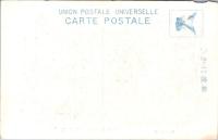 1001107■戦前 絵葉書■静岡県　修善寺 柱川の清流　影宿すらん