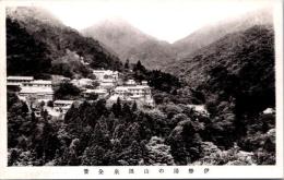 1001120■戦前 絵葉書■三重県 勢湯の山温泉全景