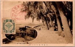 1001128■戦前 絵葉書■宮崎青島ビロー樹