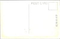 1001129■戦前 絵葉書■岡山後楽園　桜林　岡山城　鶴