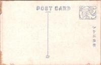 1001144■戦前 絵葉書■京都府　丹后字川　