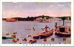 1001149■戦前 絵葉書■三重 勢鳥羽あわび取の実況