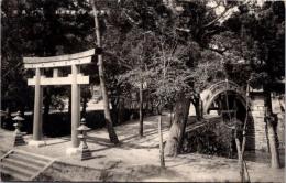 1001206■戦前 絵葉書■官幣中社　伊太祁曽神社 (鳥居)