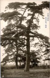 1001261■戦前 絵葉書■大阪 崇禅寺馬場　兄弟討死の現場