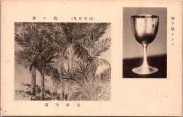 1001274■戦前 絵葉書■南陽所見　緑の林　泰祥謹写　御下賜カップ