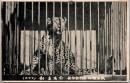 1001282■戦前 絵葉書■矢野動物館　豹　ひょう(動物 動物園)