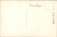 1001300■戦前 絵葉書■紀州高野山 金剛三味院　名花・石楠花