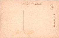 1001306■戦前 絵葉書■奈良 聖徳太子御降誕所橘寺 西門　右近橘　左近桜