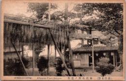 1001311■戦前 絵葉書■唐津名勝 鶴舞公園の藤花