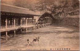 1001312■戦前 絵葉書■広島県　安藝厳島神社そり橋 (鹿)