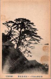 1001315■戦前 絵葉書■千葉 安房勝山海岸より領城島遠望