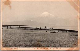 1001319■戦前 絵葉書■三保羽衣海岸の綱引 ヤケあり