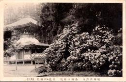 1001321■戦前 絵葉書■紀州高野山　金剛三味院　名花　石楠花