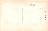 1001321■戦前 絵葉書■紀州高野山　金剛三味院　名花　石楠花