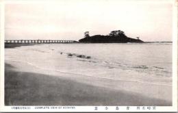 1001345■戦前 絵葉書■宮崎名所 青島全景（橋)