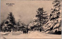 1001347■戦前 絵葉書■北海道帝国大学校庭（冬　雪）