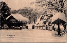 1001349■戦前 絵葉書■植物園の雪景