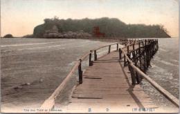 1001363■戦前 絵葉書■神奈川県　手彩色　江ノ島 全景