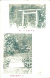 1001430■戦前 絵葉書■埼玉県　子ノ権現ノ神 子ノ権現降覧橋