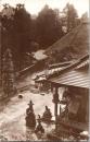1001436■戦前 絵葉書■埼玉　子ノ山天龍寺全景