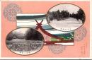 1001447■戦前 絵葉書■明治神宮 御苑の旧蒲　南参道御橋