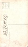 1001470■戦前 絵葉書■11759 Alaskan Wild Currants　海外 外国