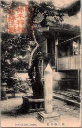 1001488■戦前 絵葉書■明石御筆柿