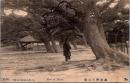 1001490■戦前 絵葉書■兵庫 播州舞子公園