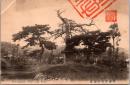 1001492■戦前 絵葉書■兵庫 須磨松島村雨堂