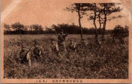 1001547■戦前 絵葉書■近歩野外演習の実況（兵士　銃)