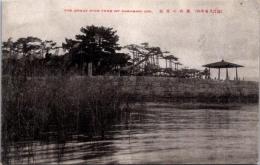 1001649■戦前 絵葉書■滋賀 近江八景の内 唐崎の夜雨