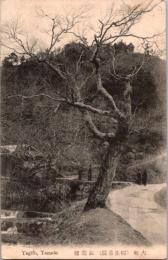 1001664■戦前 絵葉書■大和　紅葉橋