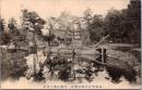 1001745■戦前 絵葉書■岡山県　国幣中社吉備津神社　神苑の池と未社
