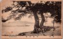 1001762■戦前 絵葉書■讃岐　琴林公園