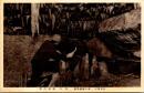 1001783■戦前 絵葉書■大和洞川　面不動鍾乳洞
