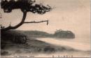 1001799■戦前 絵葉書■江之島袖ヶ浦の景